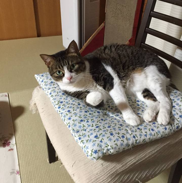 F3f4f22e 1947 4bae a8c3 00ef7b502b59