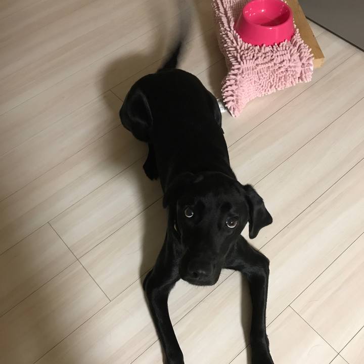 F3f54add 72d2 4fa2 bc32 f6da63a37201