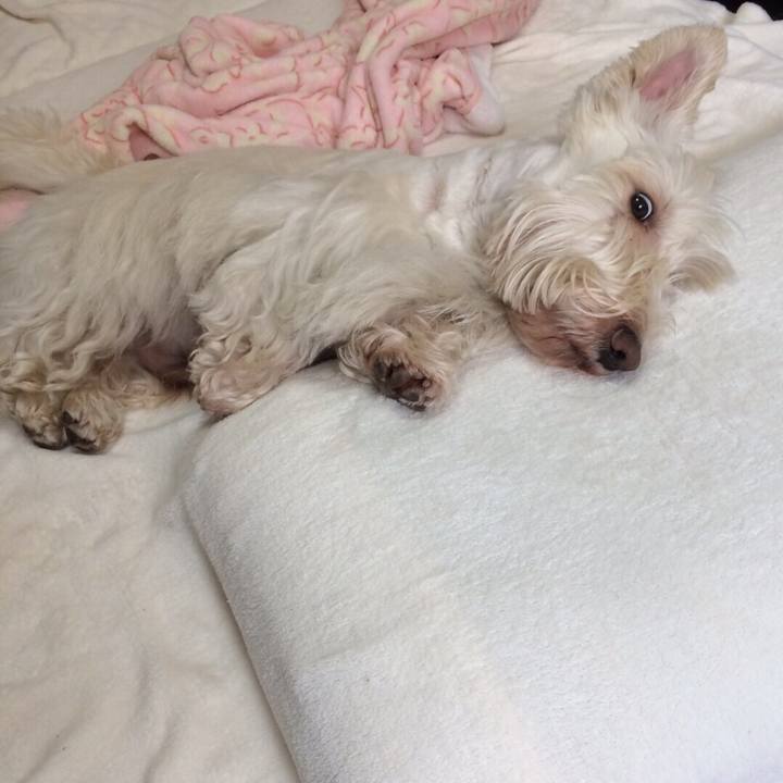 F3f56d99 db4a 4f5d 90ad 1e6dffbb27b8