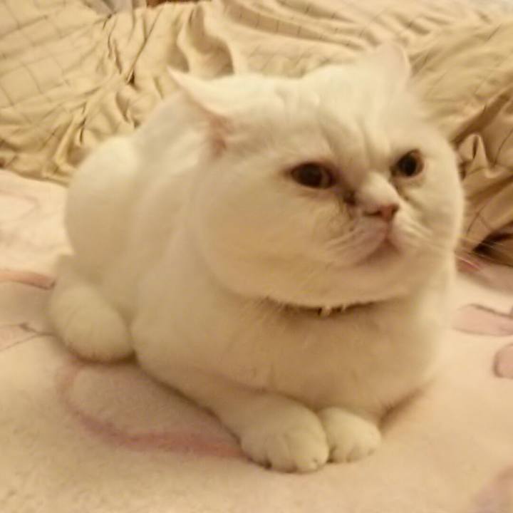 F3f59dea 0dd5 4acc 94a7 15ed13657764