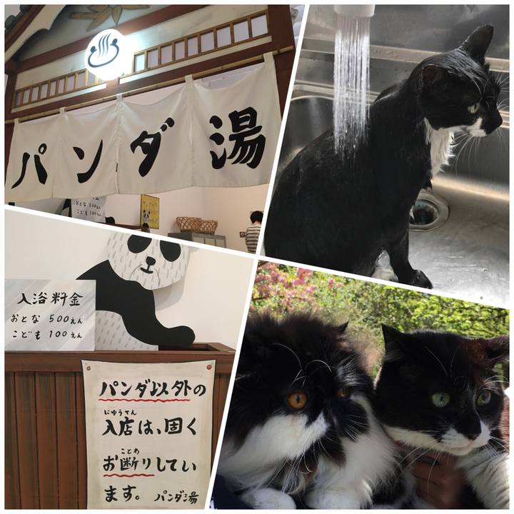 F3f5c15e a562 4bbe ba16 fc1ffeff8bd0