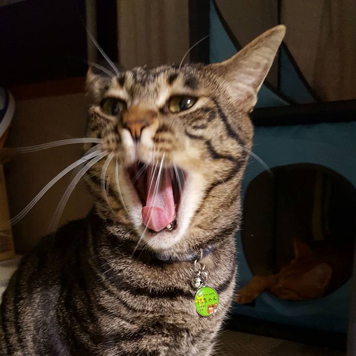 F3f5c682 c689 4622 b548 c84359dabcd6