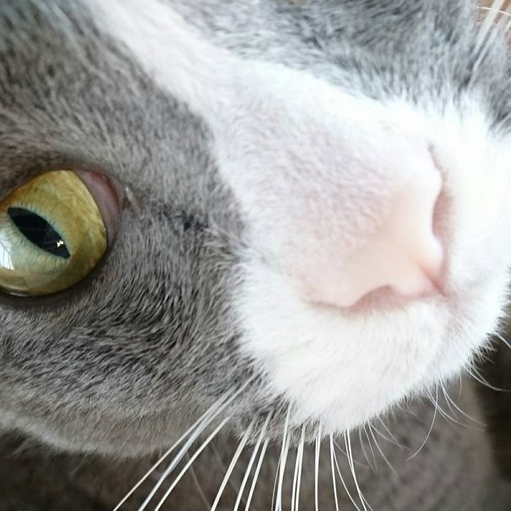 F3f5e7a2 dca0 4e8c bac8 349599865cb7