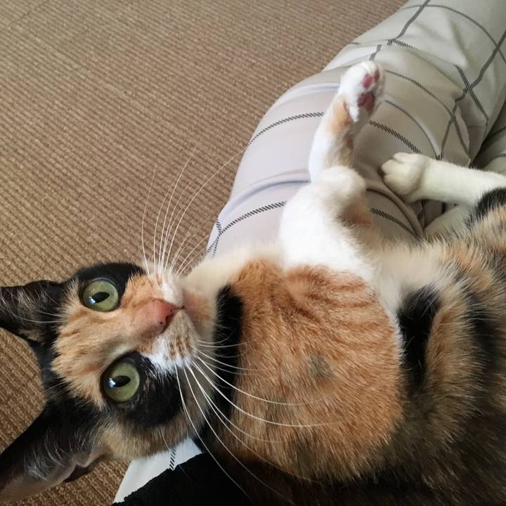 F3f641d0 b38e 451f ab78 62d89d456ee0