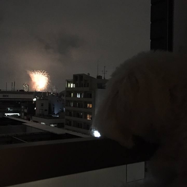 F3f6860a 093c 4fa0 8adb 860e12216b55