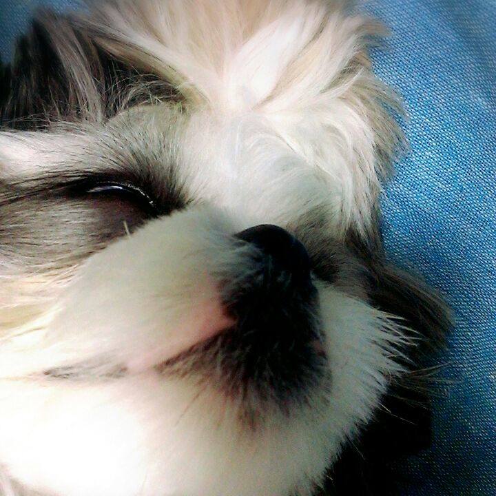 F3f78420 935f 44ec 8a34 ab1a5a5d62ee