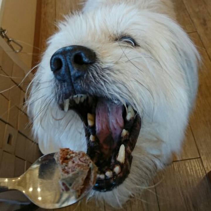 F3f9048f 5c6c 494b a884 b69663f1377e