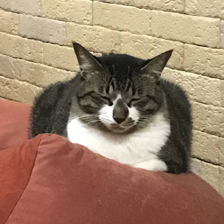 F3f9819c f6f1 4ecf b0c3 ffc32da54953