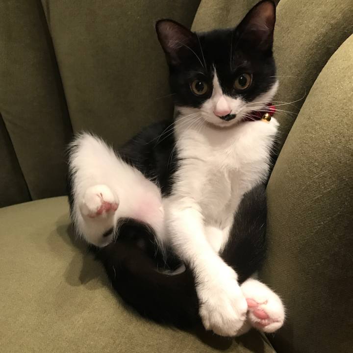 F3fa368b 820e 41cf a8b5 70dc27c01e94