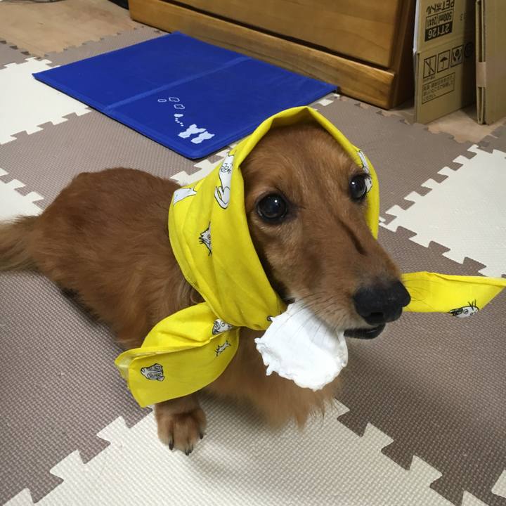 F3fa37c8 0046 4182 ab42 fd400ca0b32f