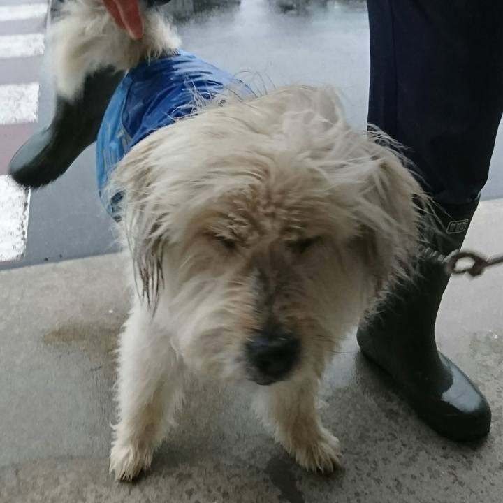 F3fadb45 2369 49e9 9c6a 4e50e1c63543