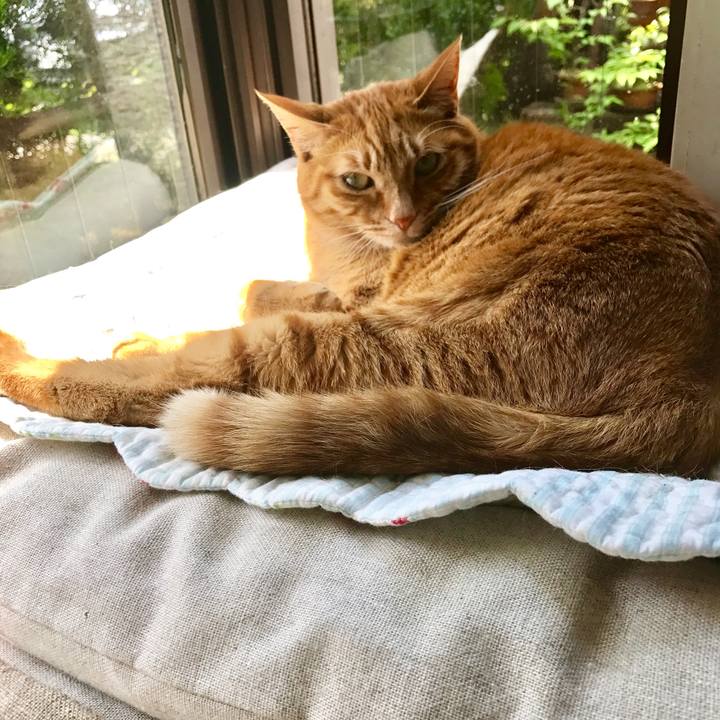 F3faeeaf 633c 4f13 ac8a 4d59bfe60633