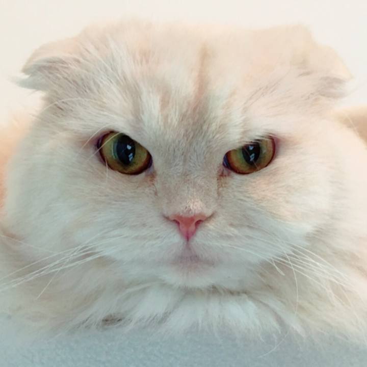 F3fbabc3 c79d 4c00 adb3 318099582104