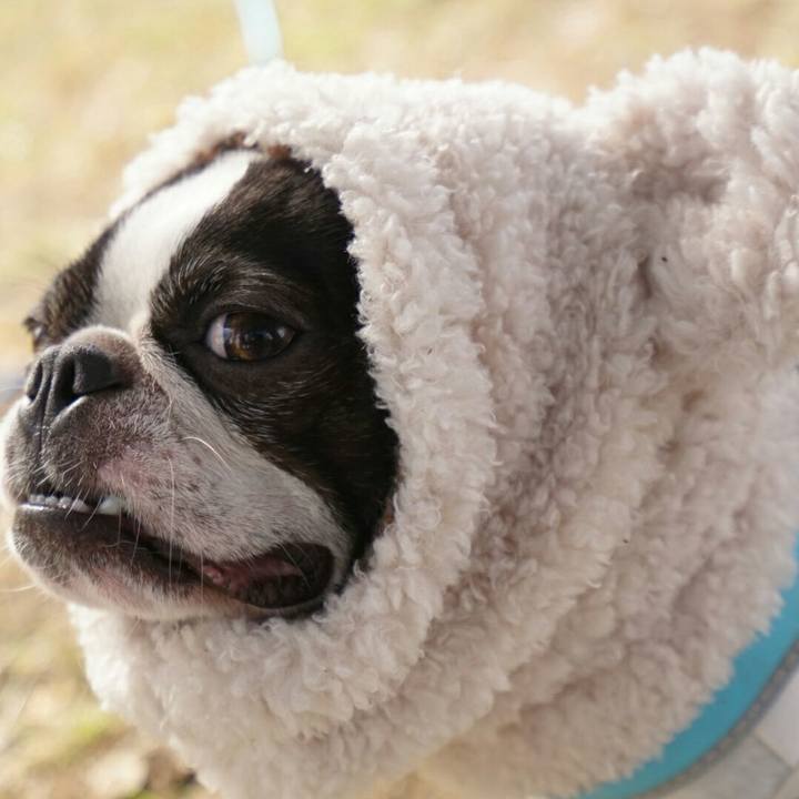 F3fbd809 d6a6 4e12 a071 f94a802f0bd1