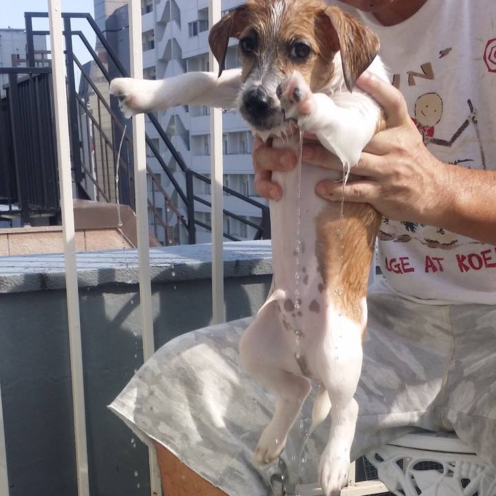 F3fc4444 7c34 4aa4 a87e dff241239690