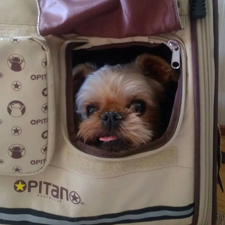 F3fc7865 0a8c 4105 aec0 ba883bd79065