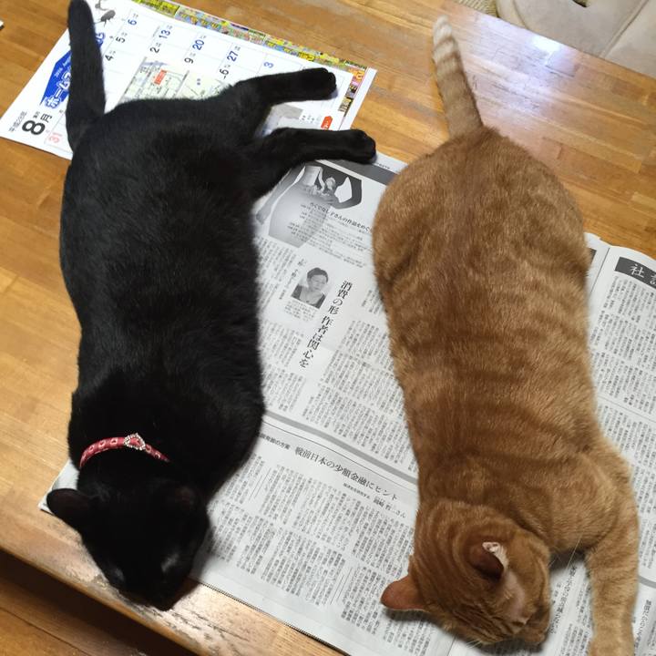 F3fd0221 072c 4359 9b70 4b0e7337ada4