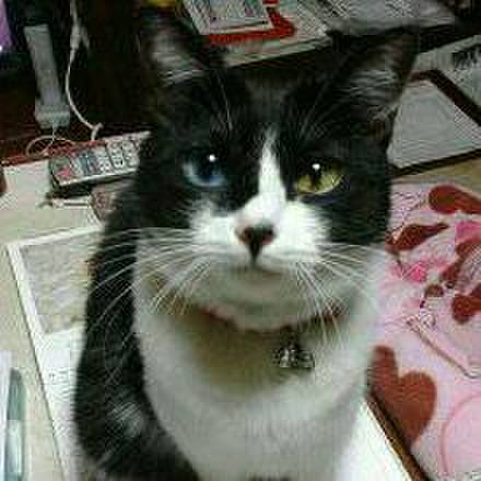 F3fd2119 3fa2 4ab8 b746 a697f2687722