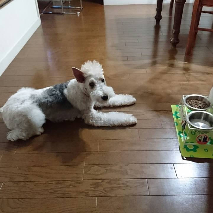 F3fd4487 843c 4e41 97ed 6f74c63dcae3