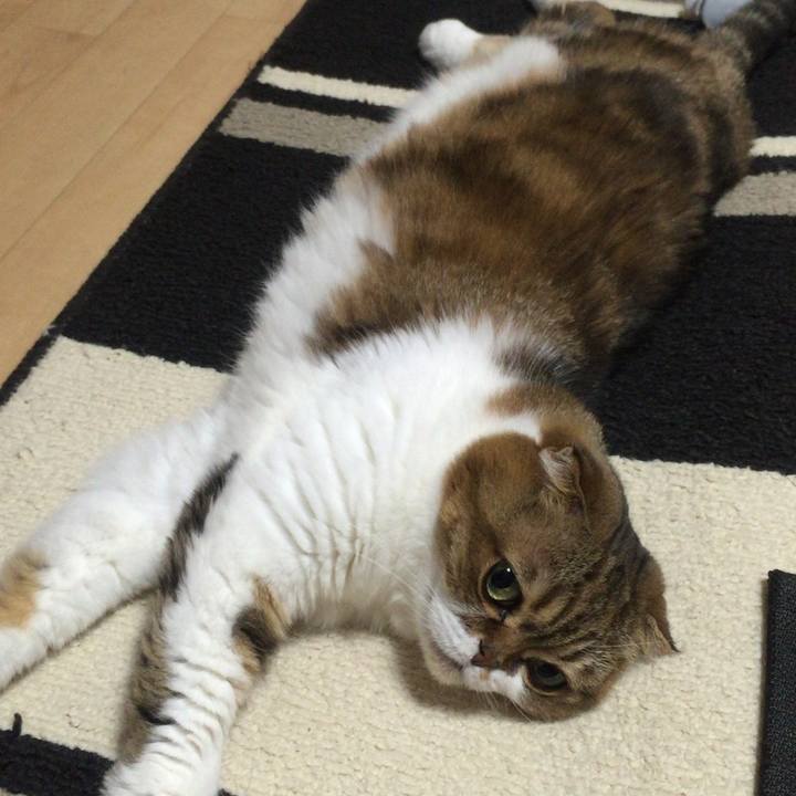 F3fd91c5 fc6d 41ef aec0 e4a60ea162e2