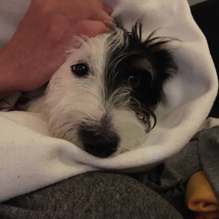 F3fe388b 1e28 4e43 a008 cc82c577047c