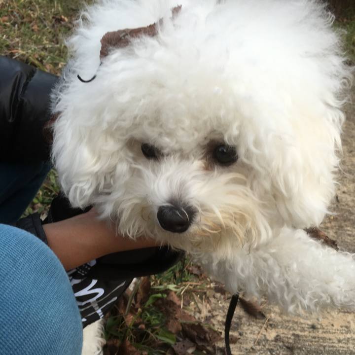 F3fe3de8 bbfc 4182 bded ff211eab2932