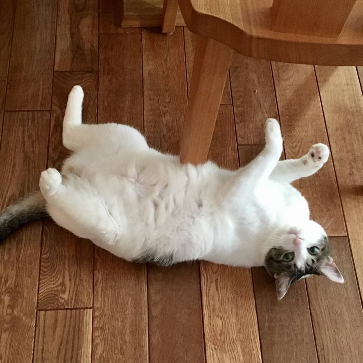 F3fe848e d868 4a6f 9593 0c37cd40da16