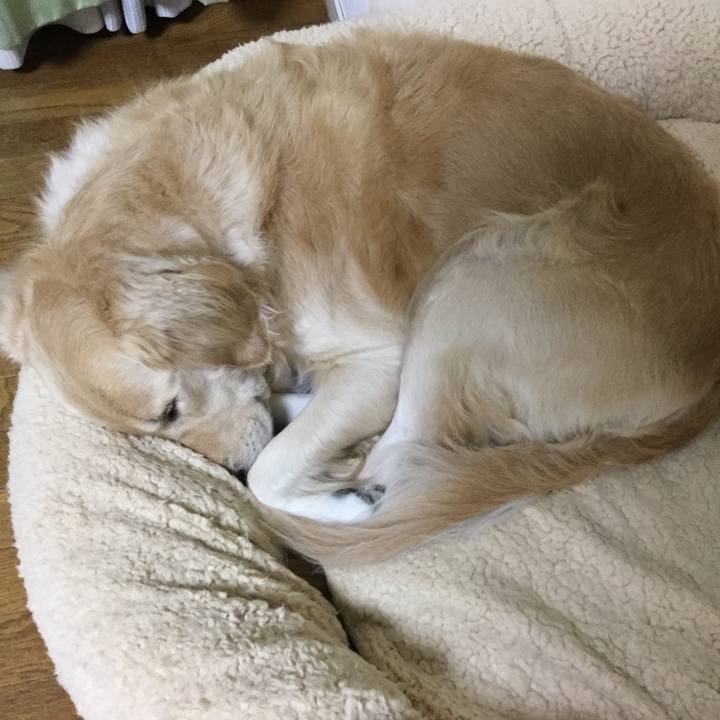 F3fe9036 dfa2 4a3a b6ee 7191bdff5ea5