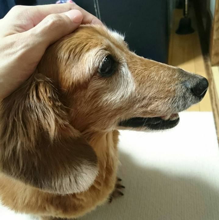 F3feec3b aa92 4aaa 9b1e 0545a2a59660