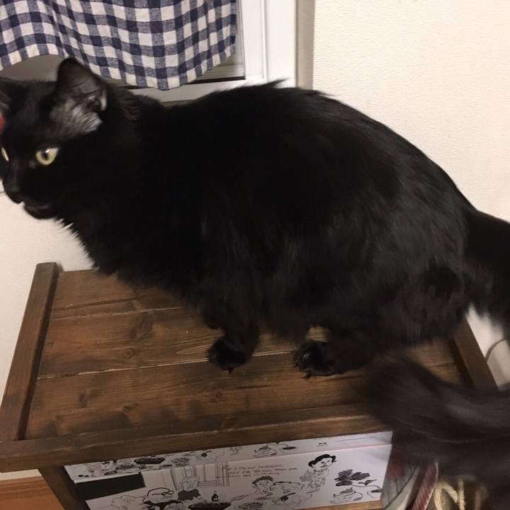 F3ff1102 5fec 4bf0 8a46 d899f94b811f