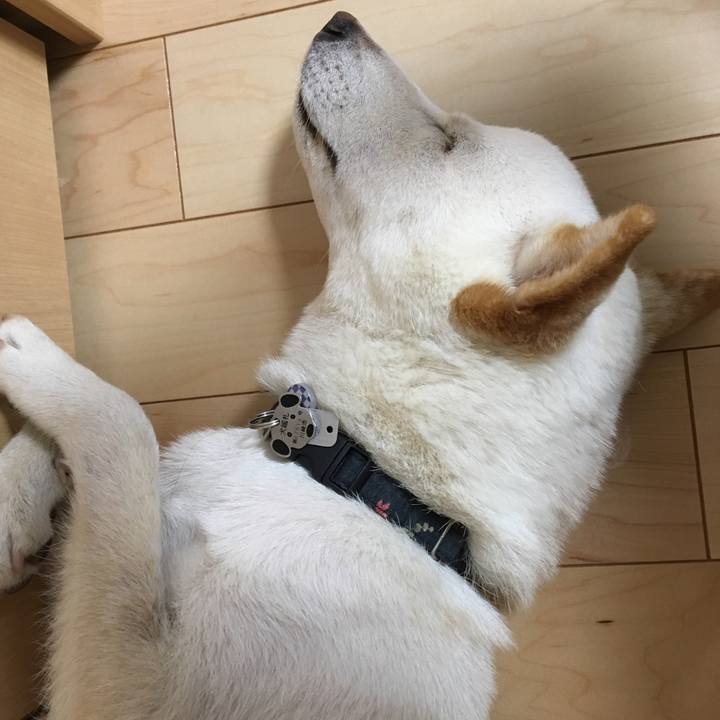 F3ff2c21 4f6e 466a 9e6f a8093debbb2b