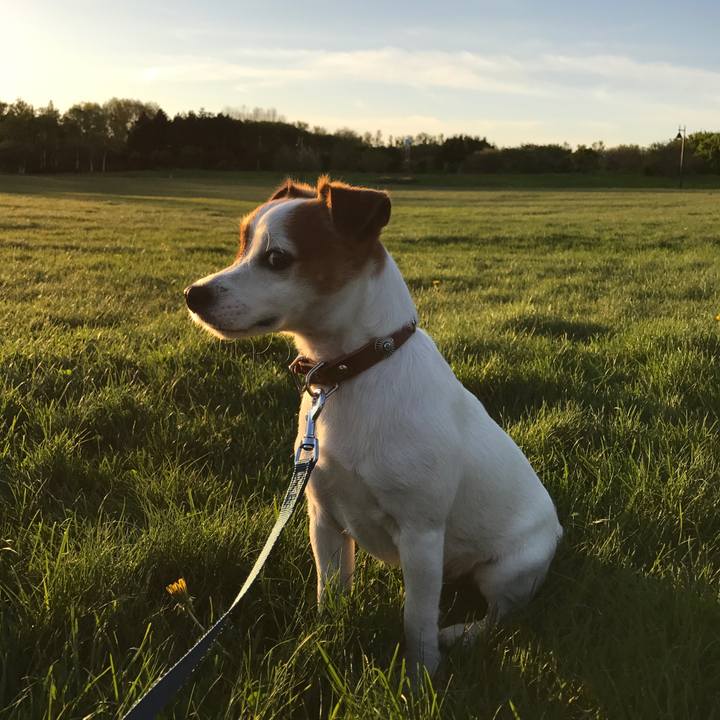 F3ff609d e024 4c74 bd1d e987931ac78d