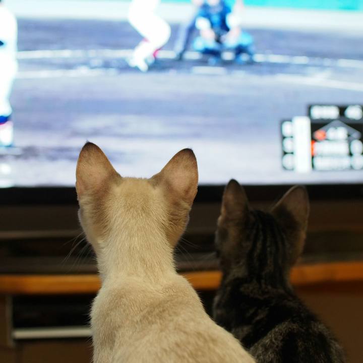 F3ff748d 0008 4d61 8b08 0922ecf0de87