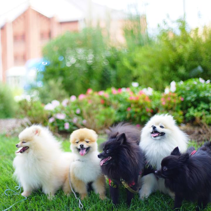 F400236d d944 43b2 93f9 13866b4637fe