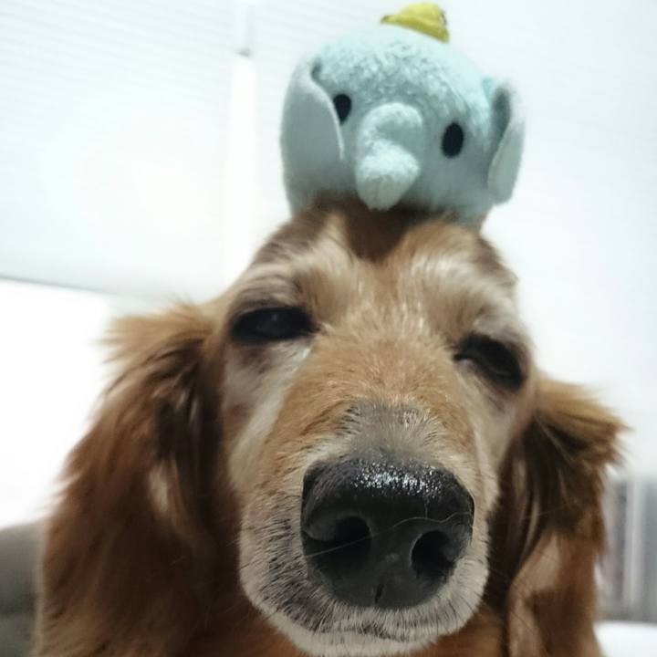 F40095c1 0b82 4d69 a97b 9c185ea23f27