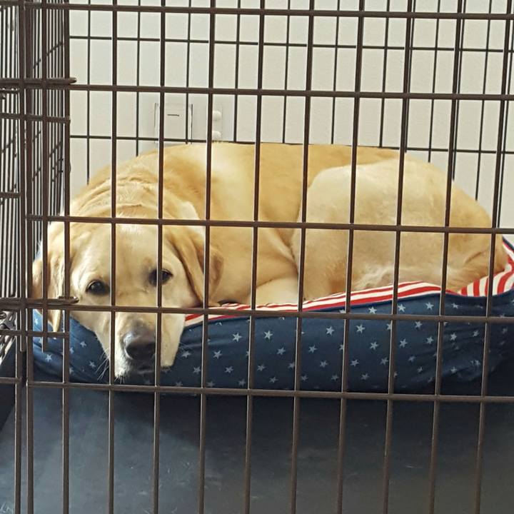 F400a8fc 1332 4214 9752 f941685cdf50