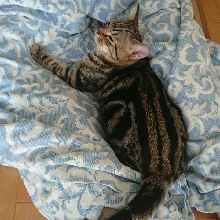 F400dbe1 3194 4932 b901 68286ff2f711