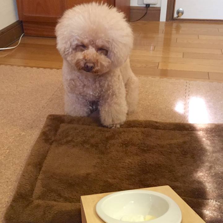 F401080b c16b 40c4 ab7e 29d1ddd3b58e