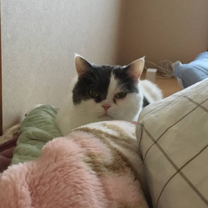 F40148e2 f71e 4cb5 8fb2 85cc2685bc39