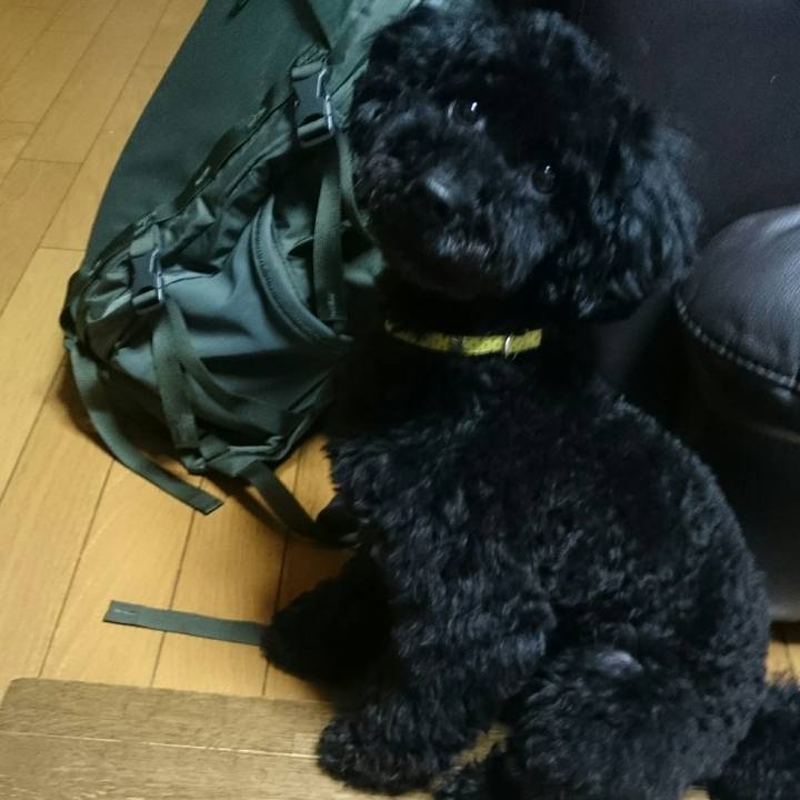 F40248f4 1442 45b9 9664 6a143926e577