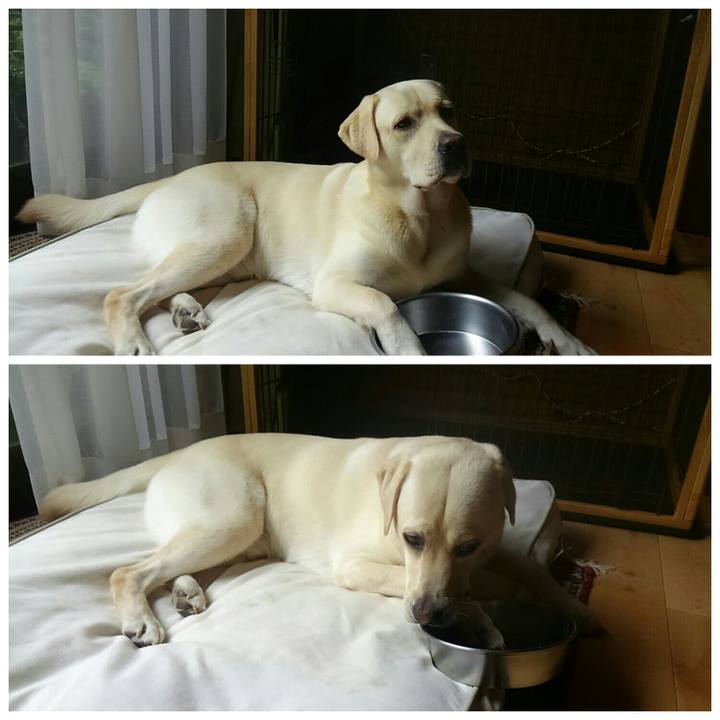 F402a8bf 9fe0 4373 8395 5880a3665150