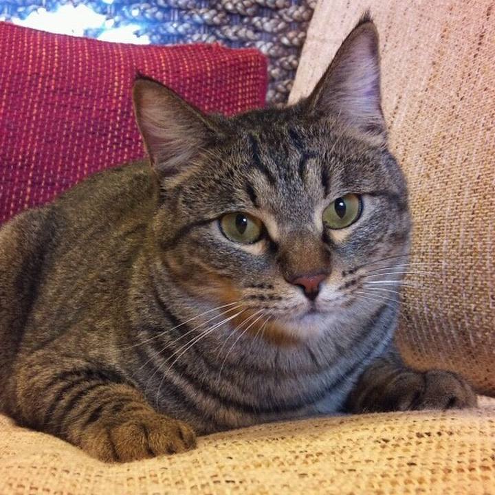 F4035a55 4ff1 4d33 a1fb 1c479f8d1d3c