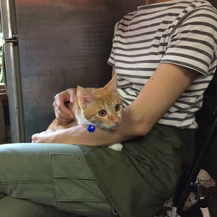 F4044ef7 5d8d 42eb 8ad4 4243ddfdb204