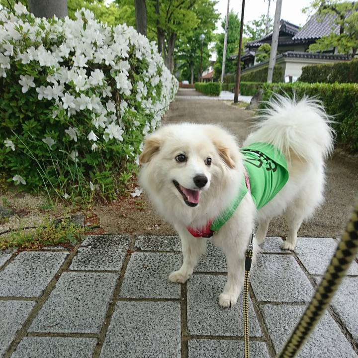 F4047a88 4fcc 453f 9374 84d00c1400ec