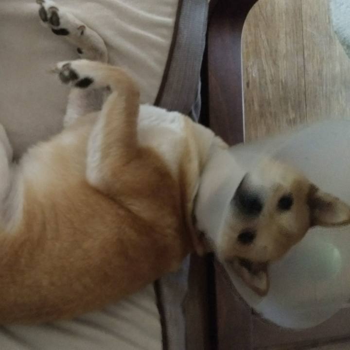 F404bb64 bc0b 4a1a a617 64e6382ed7d8