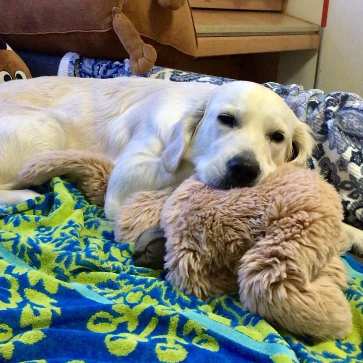 F4053e06 0c7c 4685 9a69 a14f56b90d77