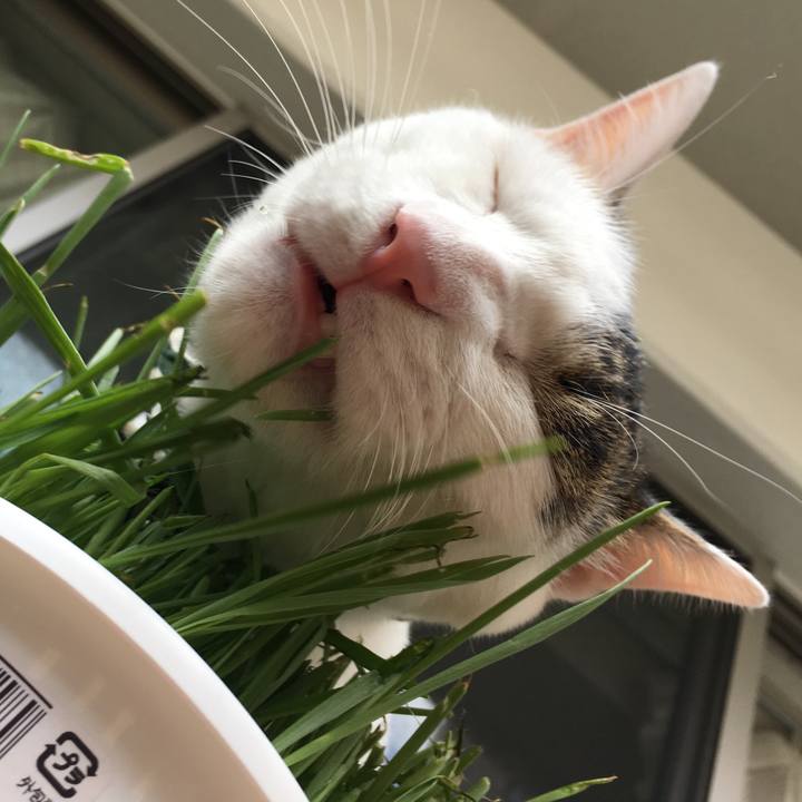 F4063d95 acc0 4e85 9ab5 ef427bd2f94f