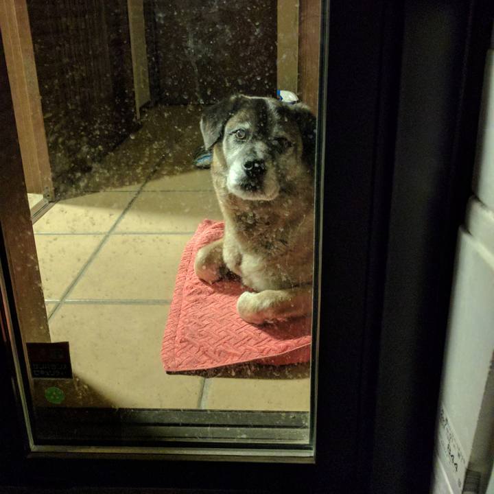 F406ab67 e332 49ee adb0 3c7b4559870d