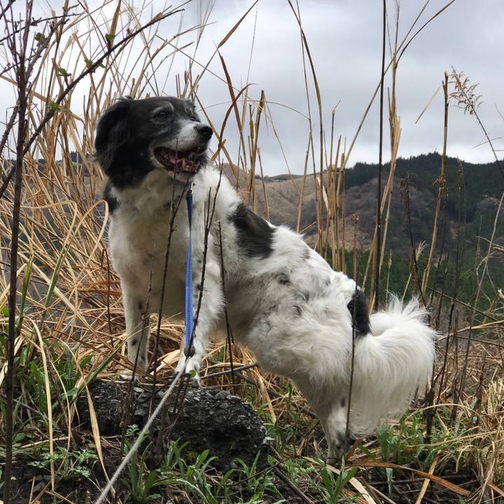 F4070474 1ebe 4d0e a4f3 33b1a3e05c44