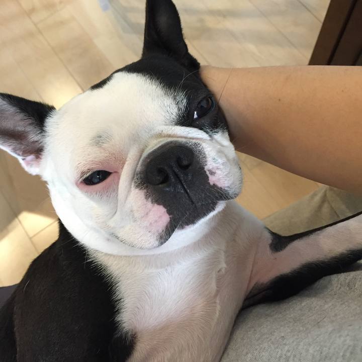 F407d83c a627 4a95 b567 d2ff187c3dcf